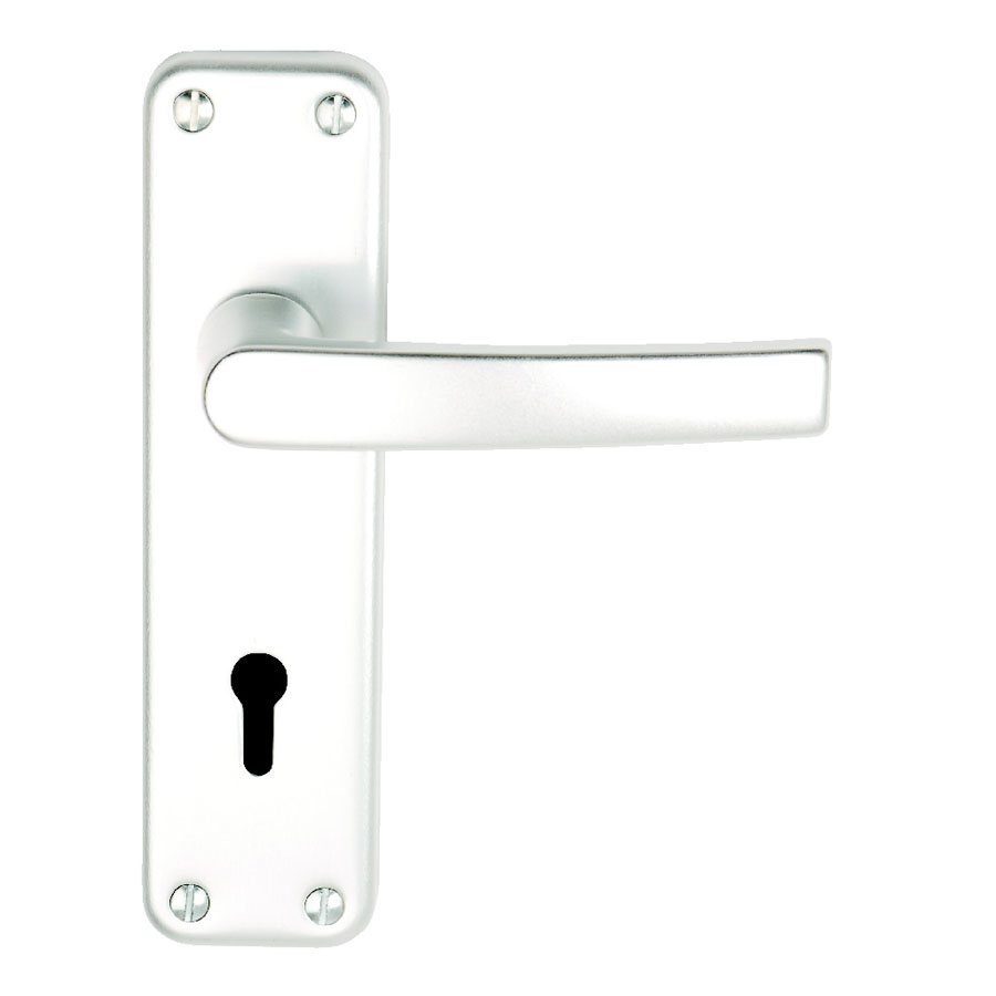 Dale Hardware 5704 SAA Sandal Lever on Backplate Lock Door Handle Pair